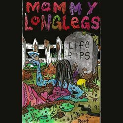 Picture of Mommy Long Legs