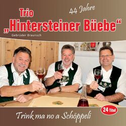 Picture of Hintersteiner Büebe Trio