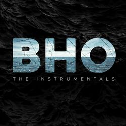 Picture of Baltic House Orchestra