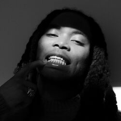 Picture of LEVELSANTANA