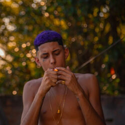 Picture of Meno Tody
