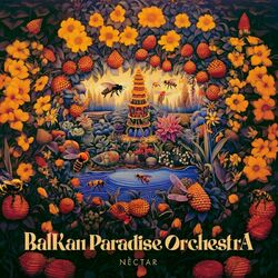 Picture of Balkan Paradise Orchestra