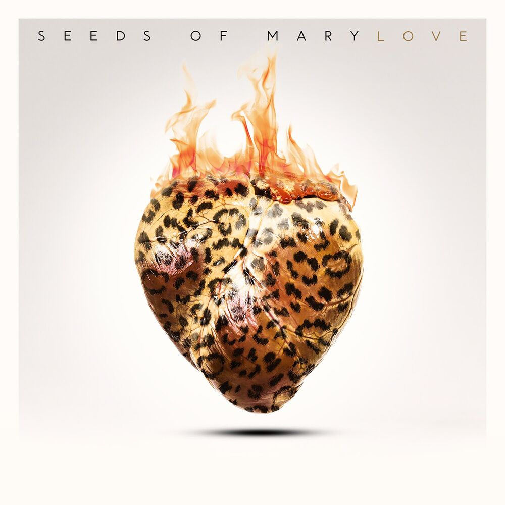 Picture of Seeds Of Mary