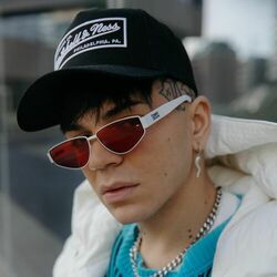 Picture of Blind