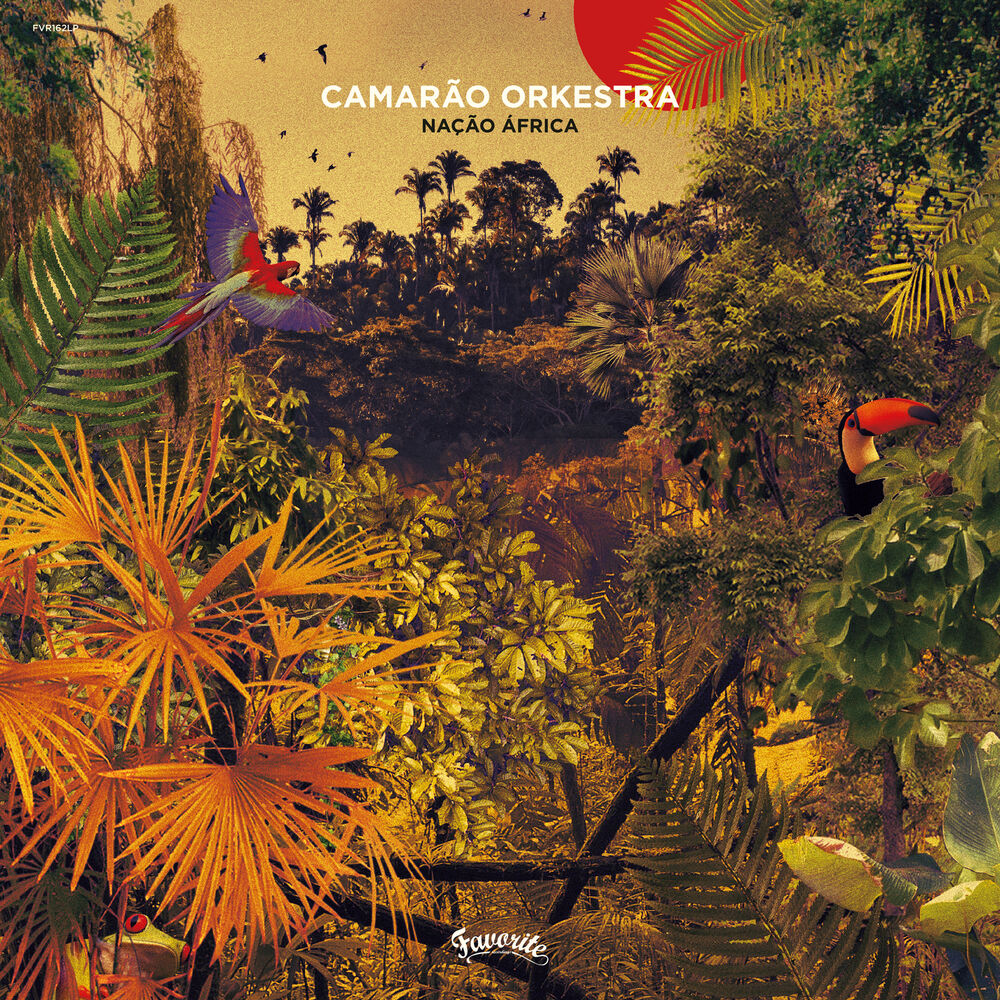 Picture of Camarão Orkestra