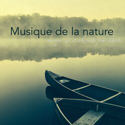 Picture of Musique Relaxante Univers