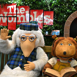 The Wombles