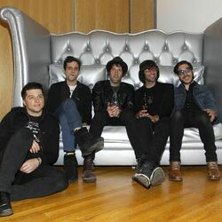 Picture of The Bravery
