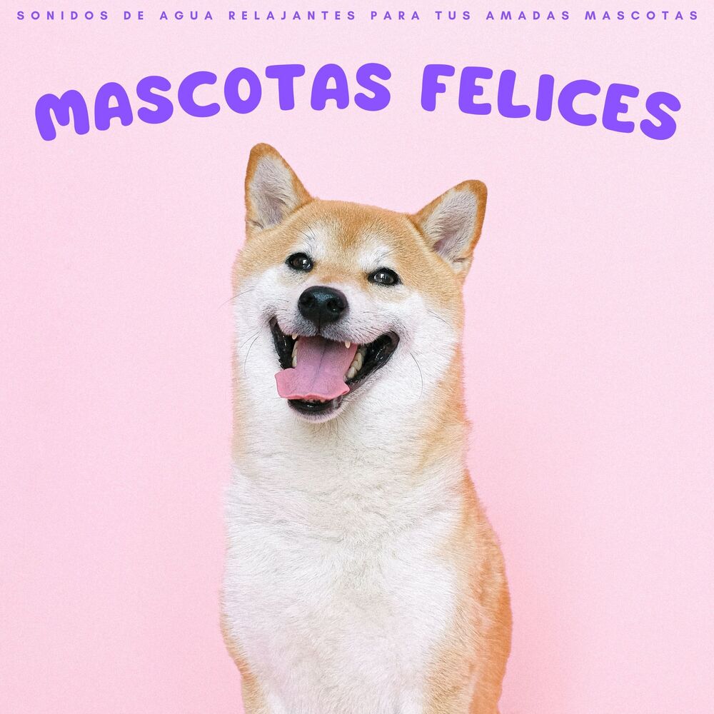 Picture of Zona de música para perros