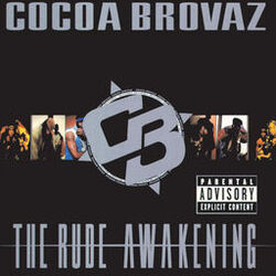 Picture of Cocoa Brovaz