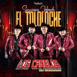Los Canelos De Durango