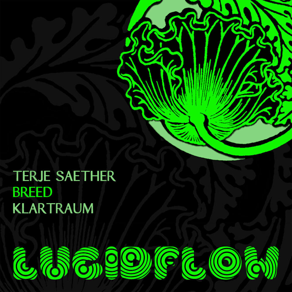 Picture of Terje Saether