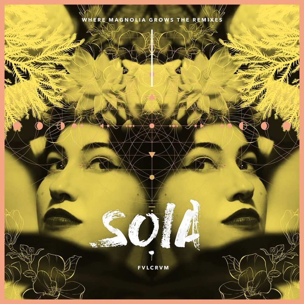 Picture of Soia