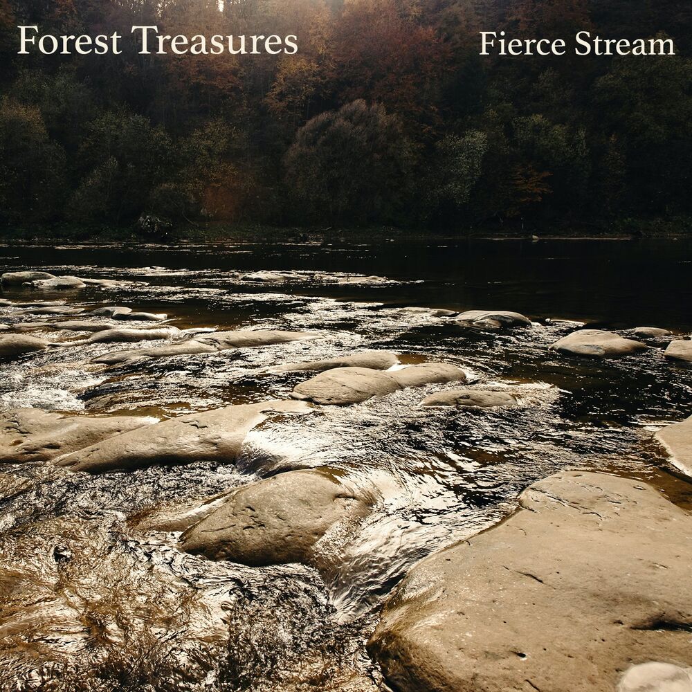 Picture of Forest Treasures