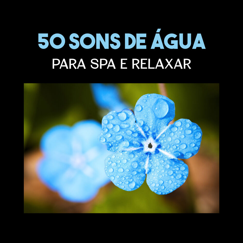 Picture of Calmante Zona de Spa
