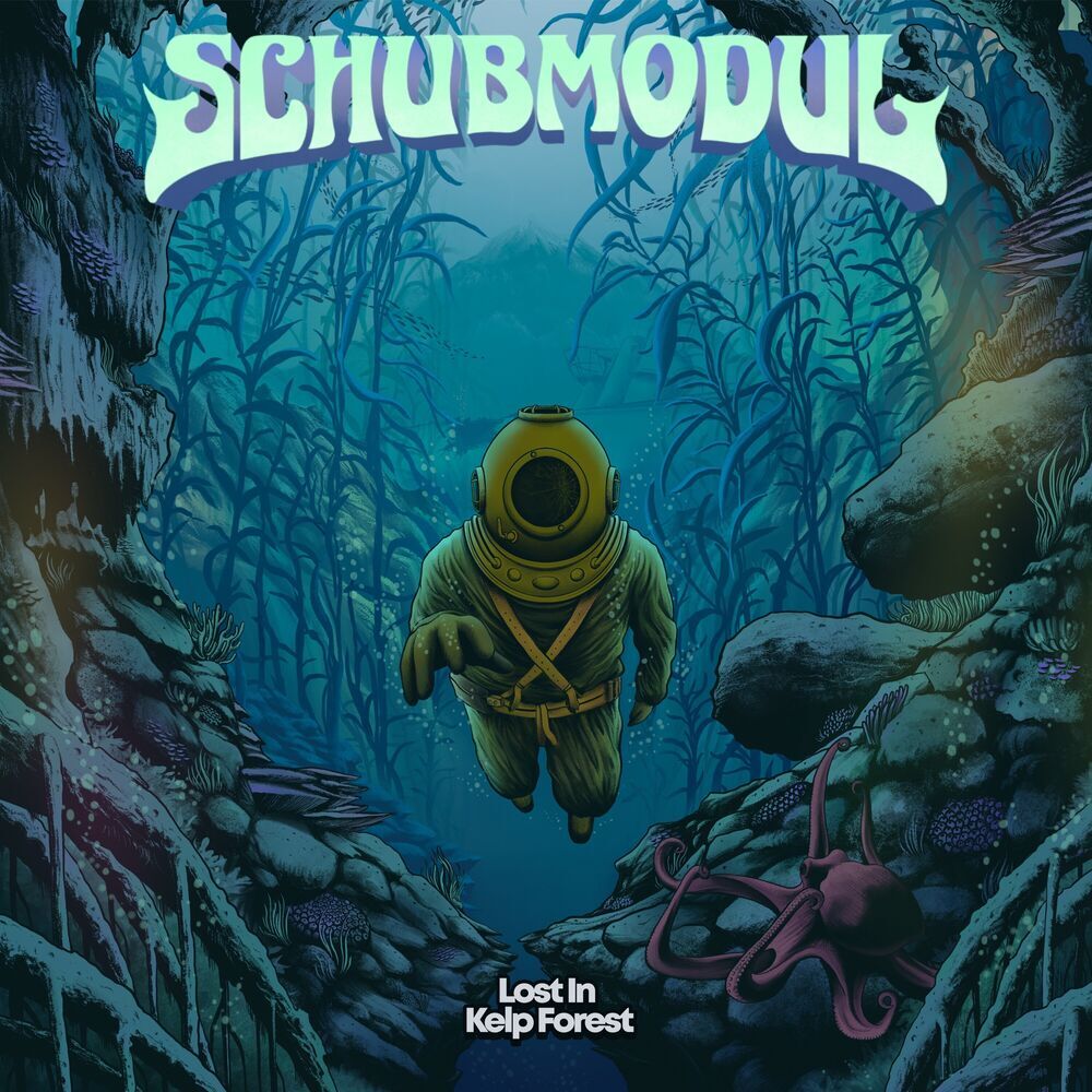 Picture of Schubmodul