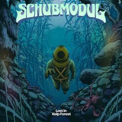 Picture of Schubmodul
