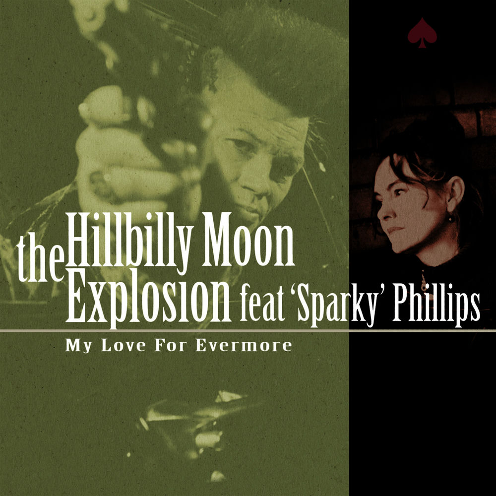 Photo de l'artiste The Hillbilly Moon Explosion