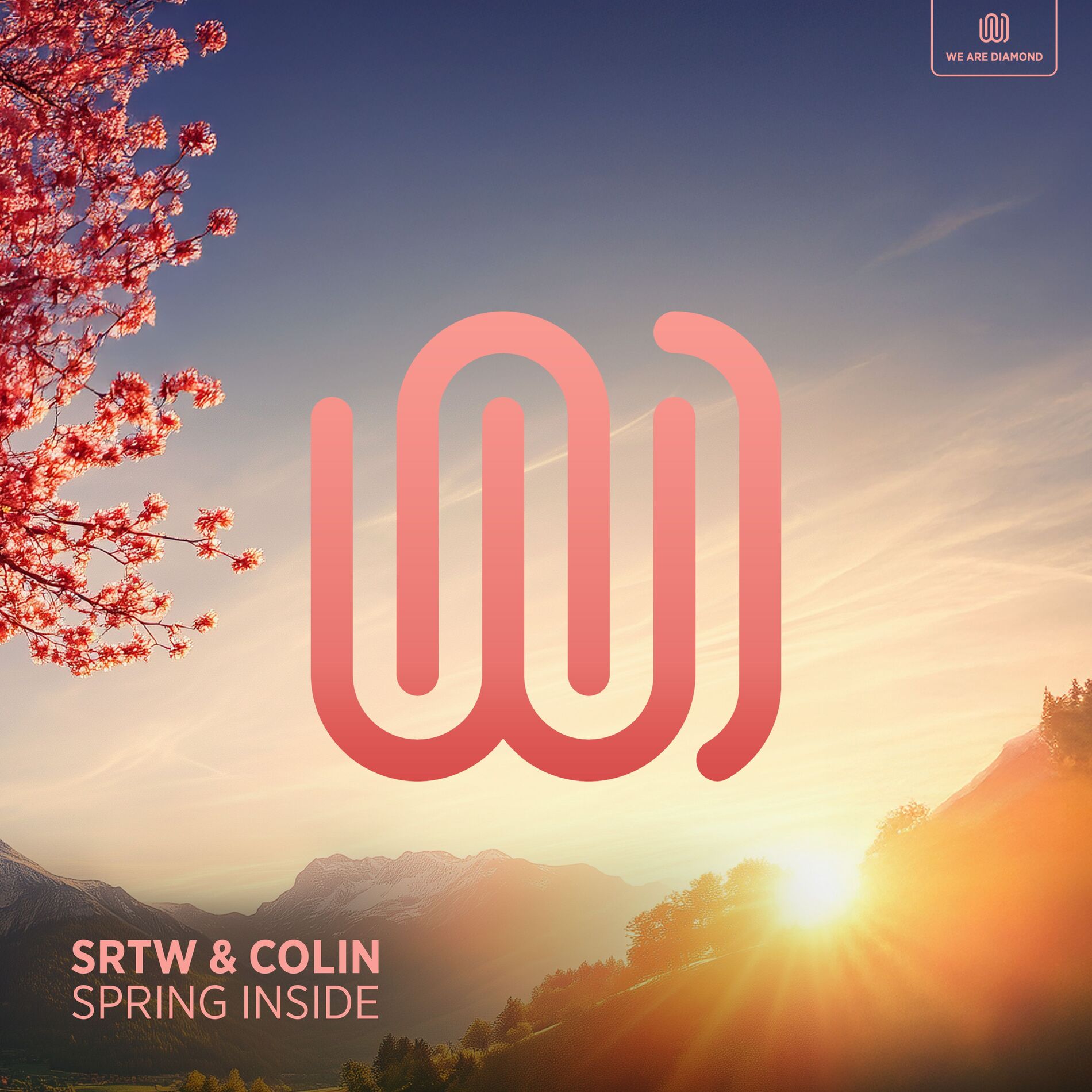 Colin