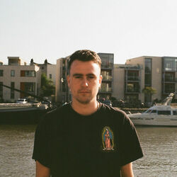 Picture of Badger