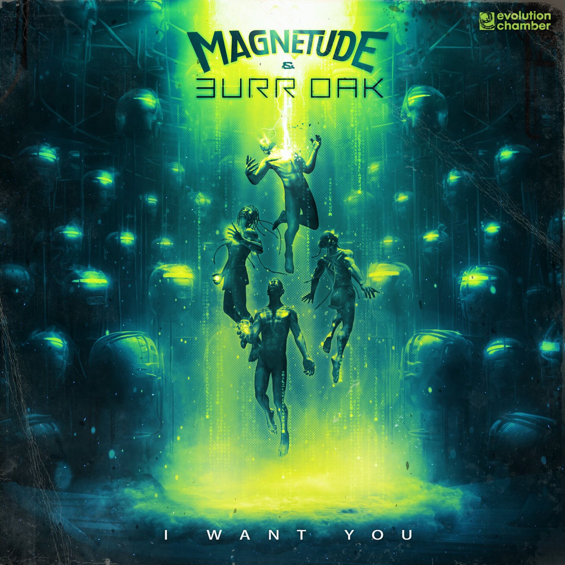 Magnetude