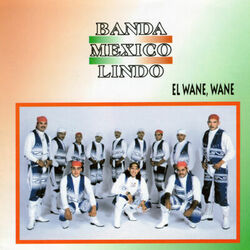 Picture of Banda Mexico Lindo