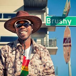 Picture of Brushy One String