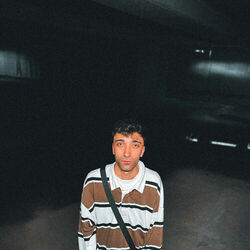 Picture of Borqy