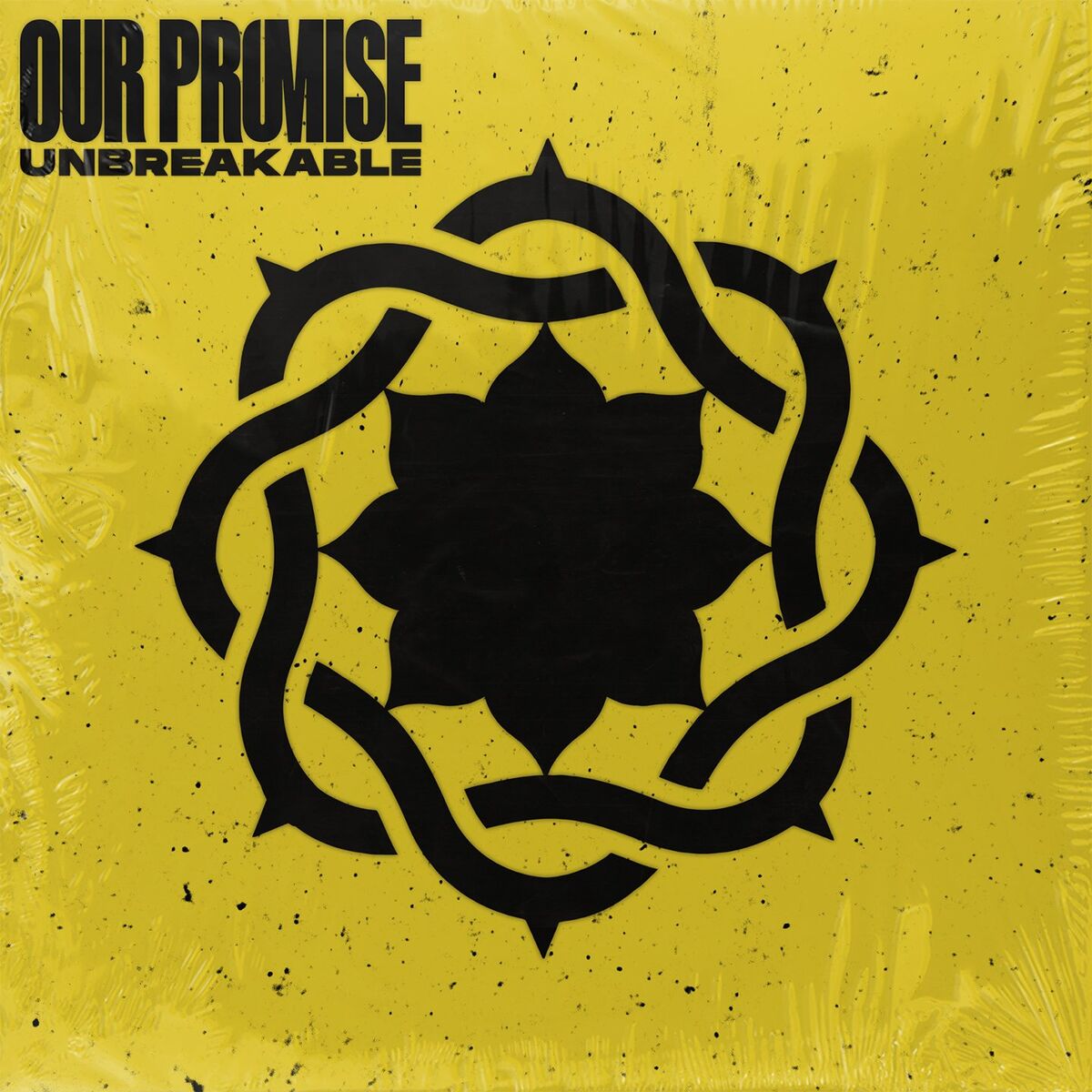 Our Promise