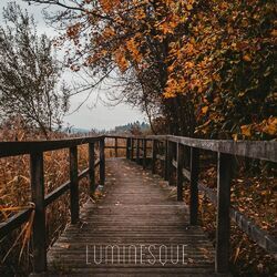 Picture of Luminesque