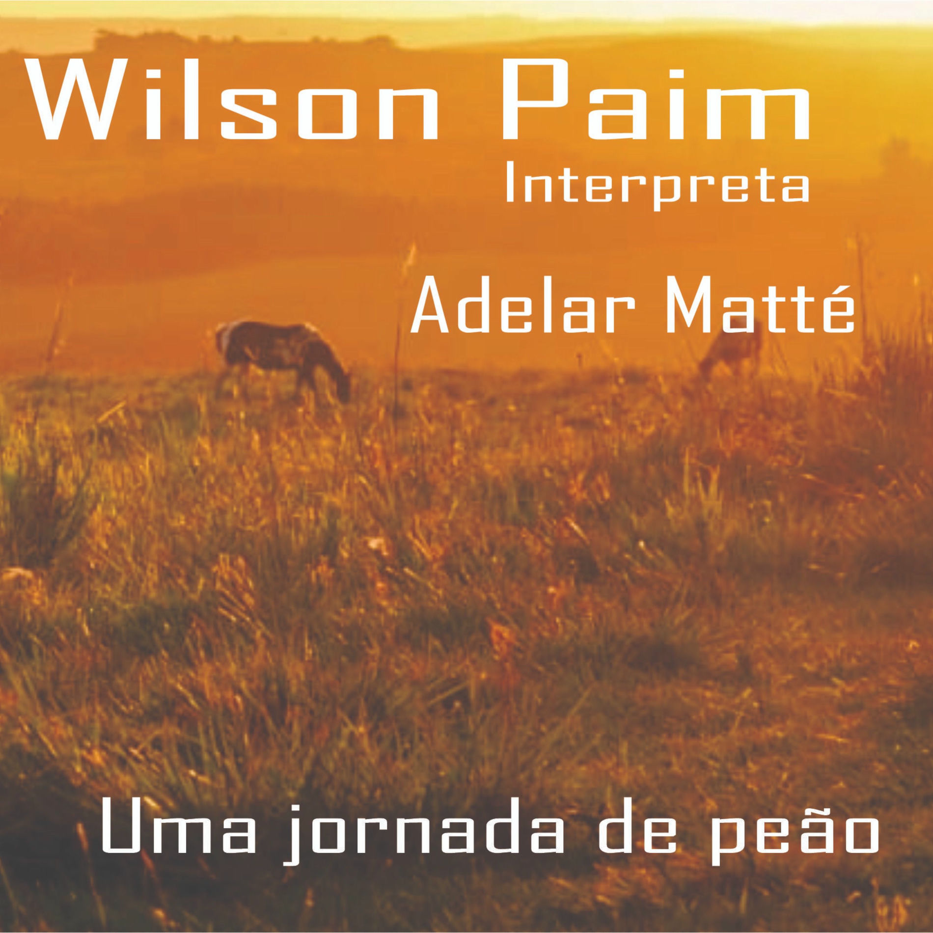 Wilson Paim