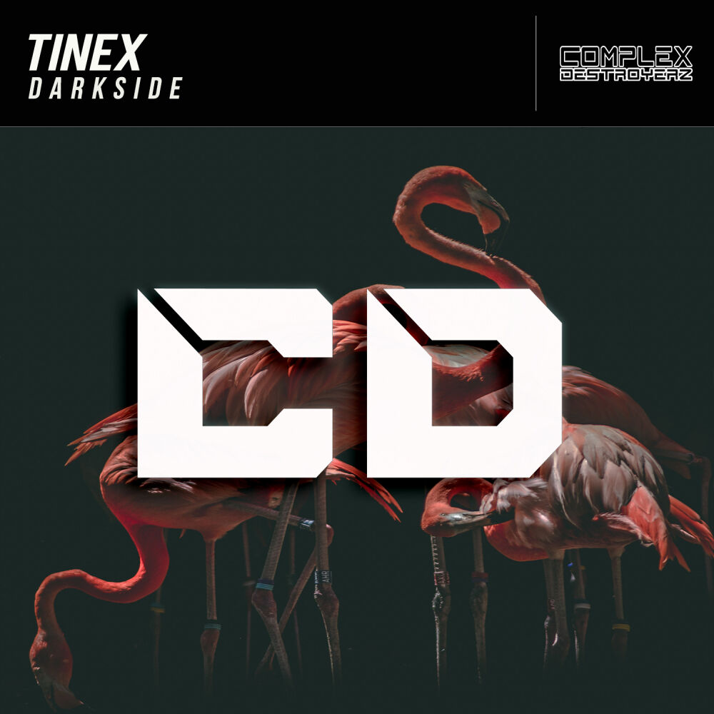Picture of TineX