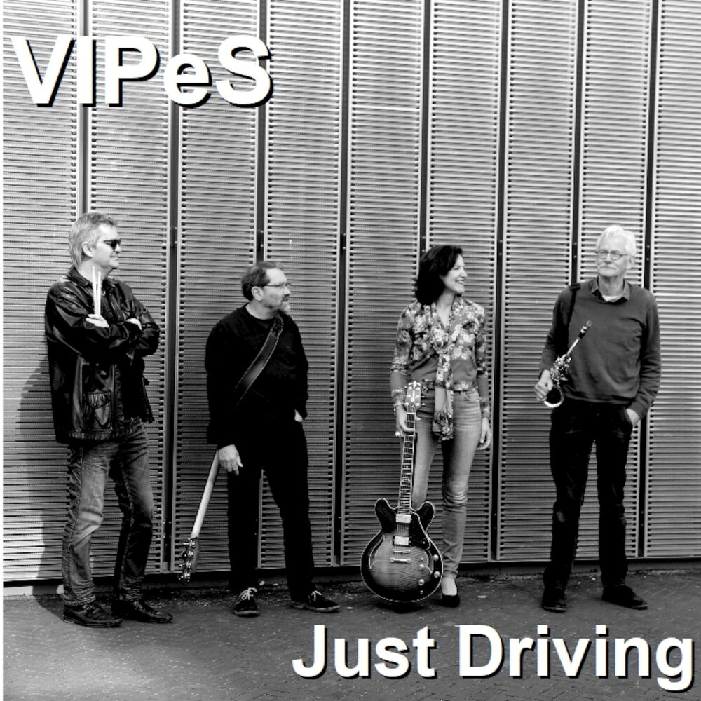 Picture of Vipes
