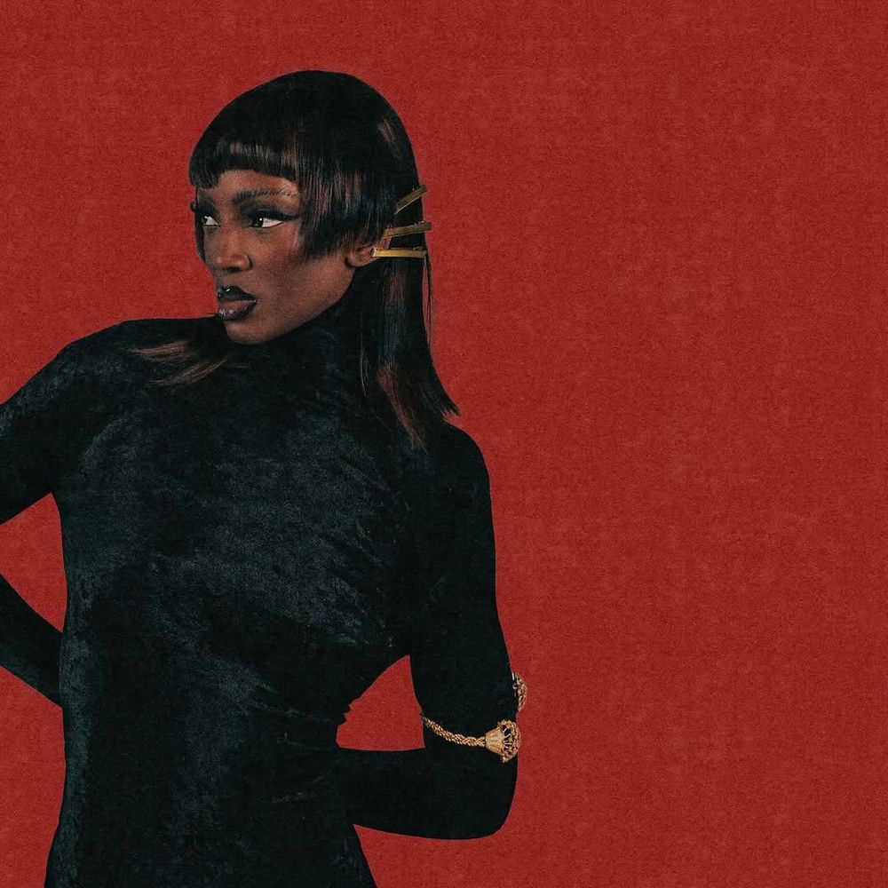 Photo de l'artiste DAVINHOR