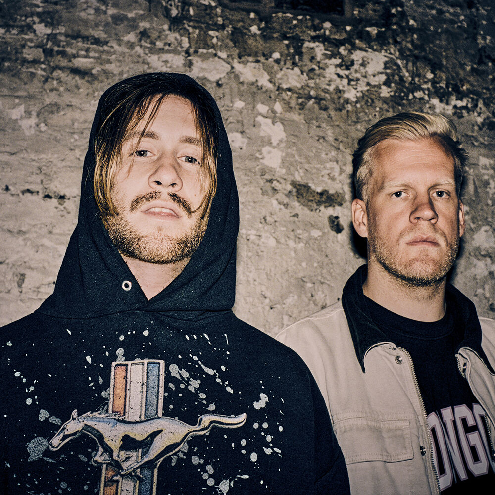 Picture of Snakehips