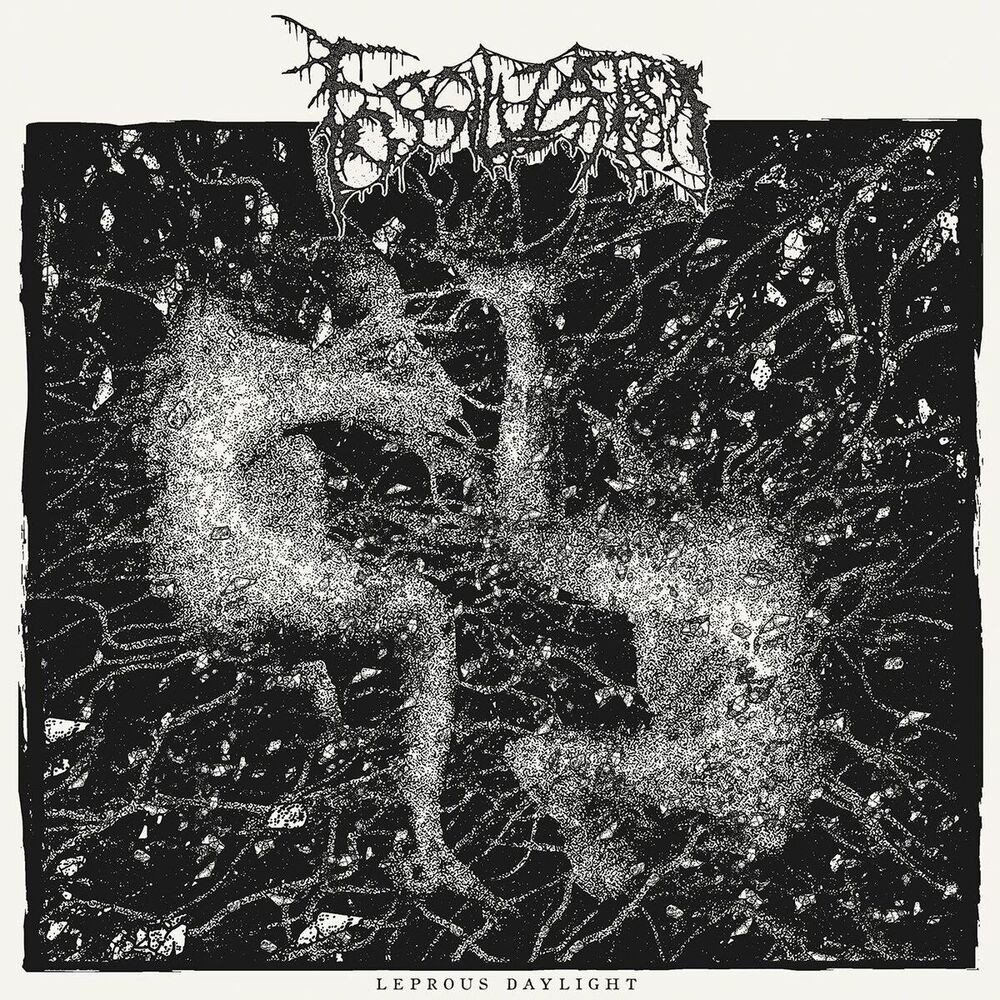 Picture of Fossilization