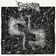 Fossilization