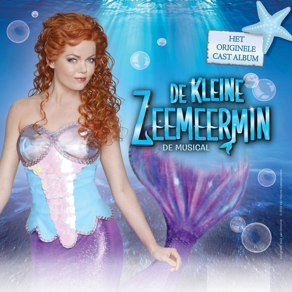 Picture of De Kleine Zeemeermin