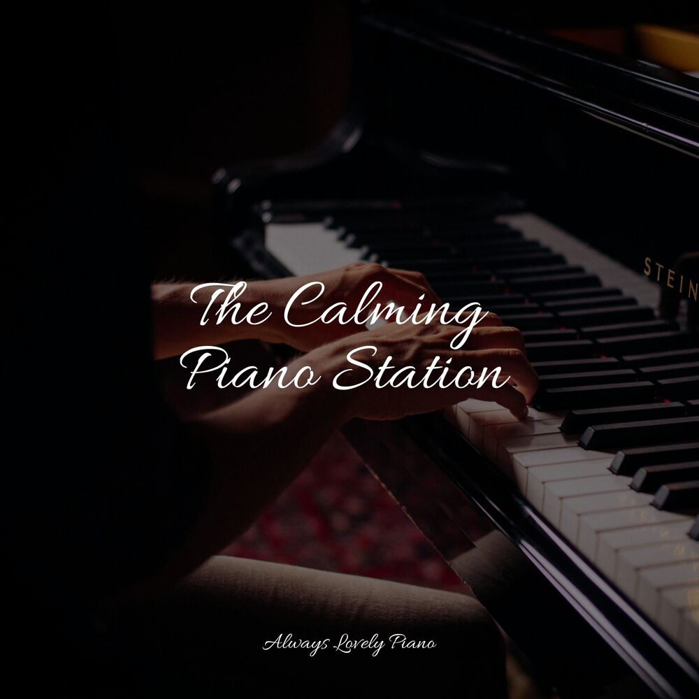 Picture of Piano Pacifico