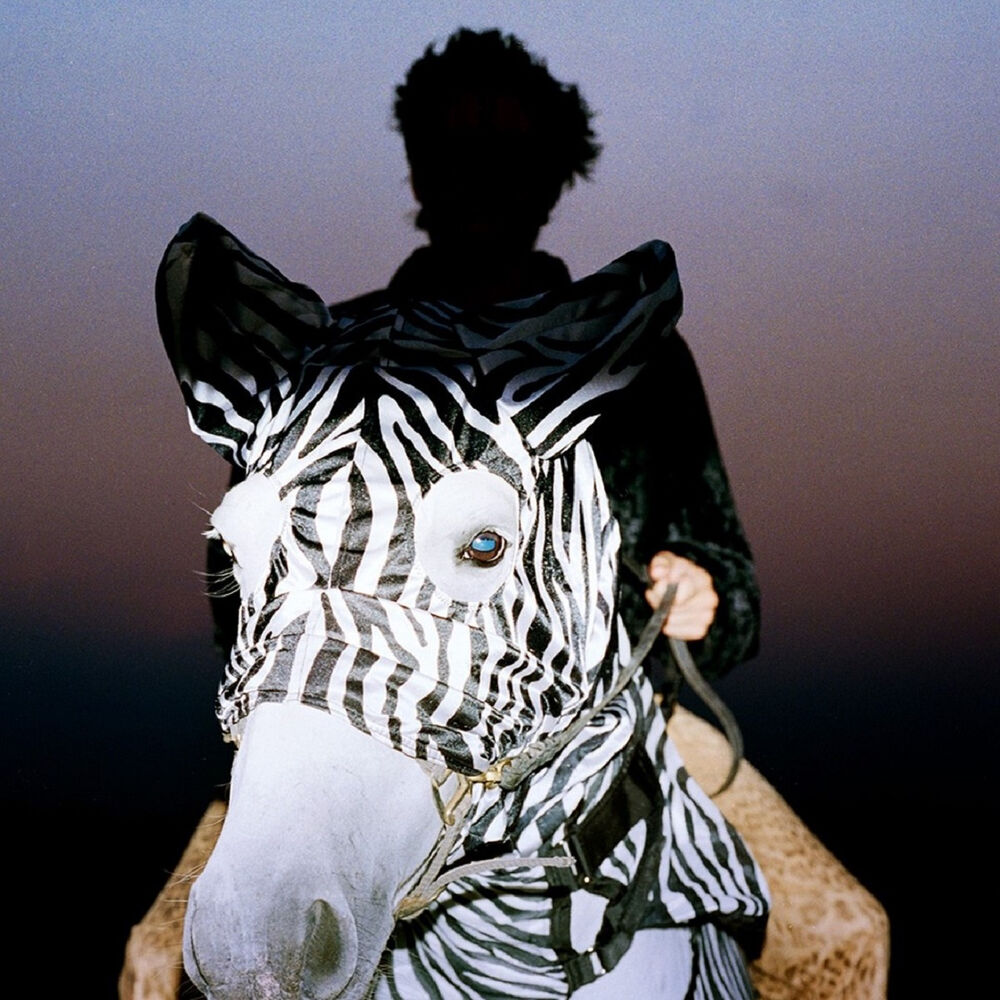 Picture of Leopard DaVinci