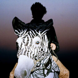 Picture of Leopard DaVinci