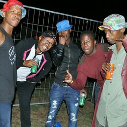 Picture of Trompies