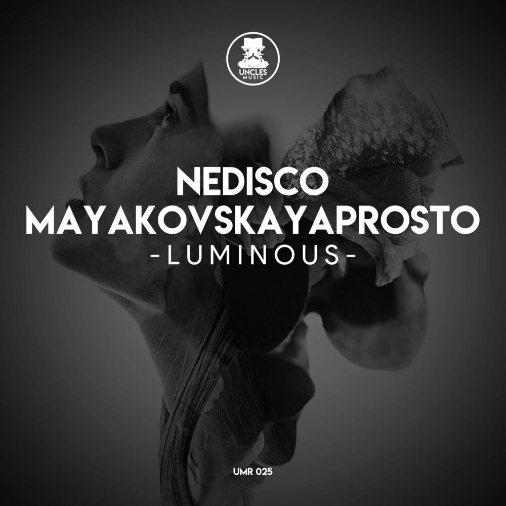 Picture of Nedisco