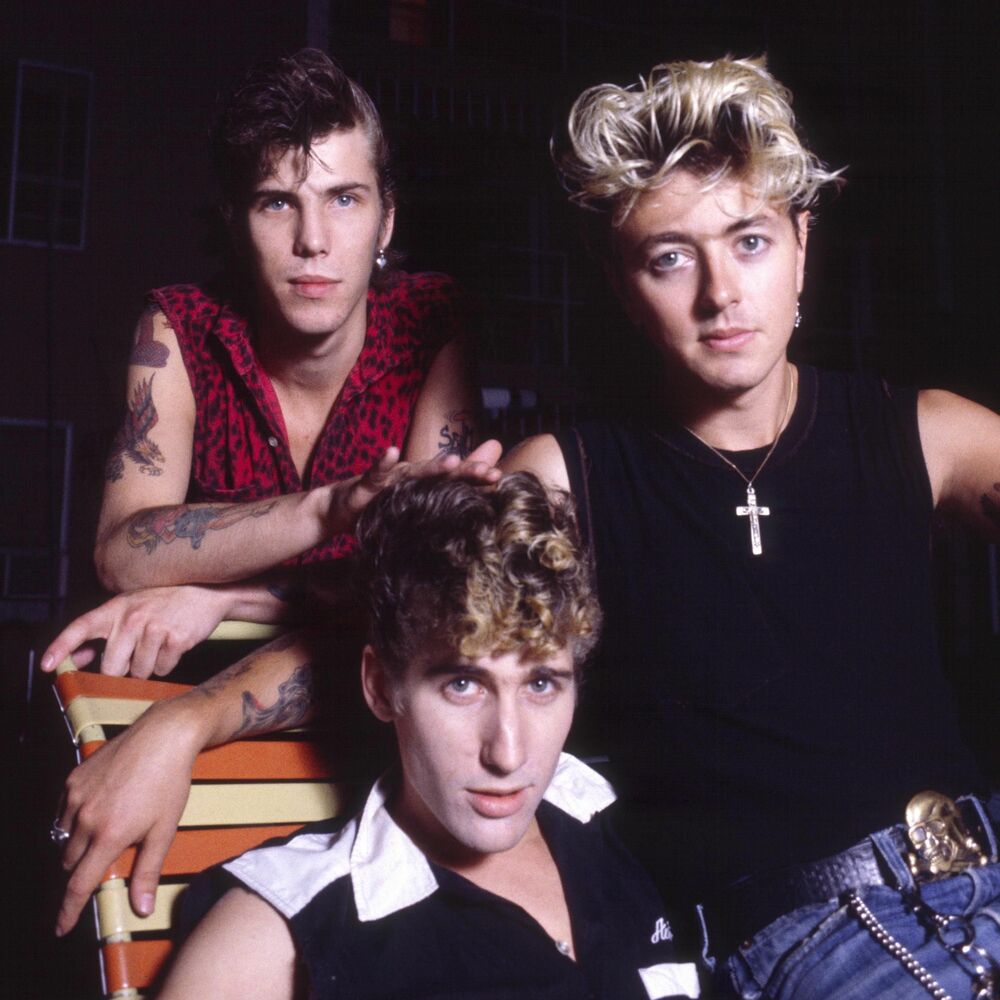 Picture of Stray Cats