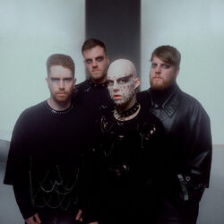 Picture of Void Of Vision