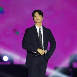 Picture of Park Bo Gum