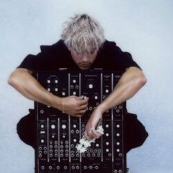 Picture of Dot Major
