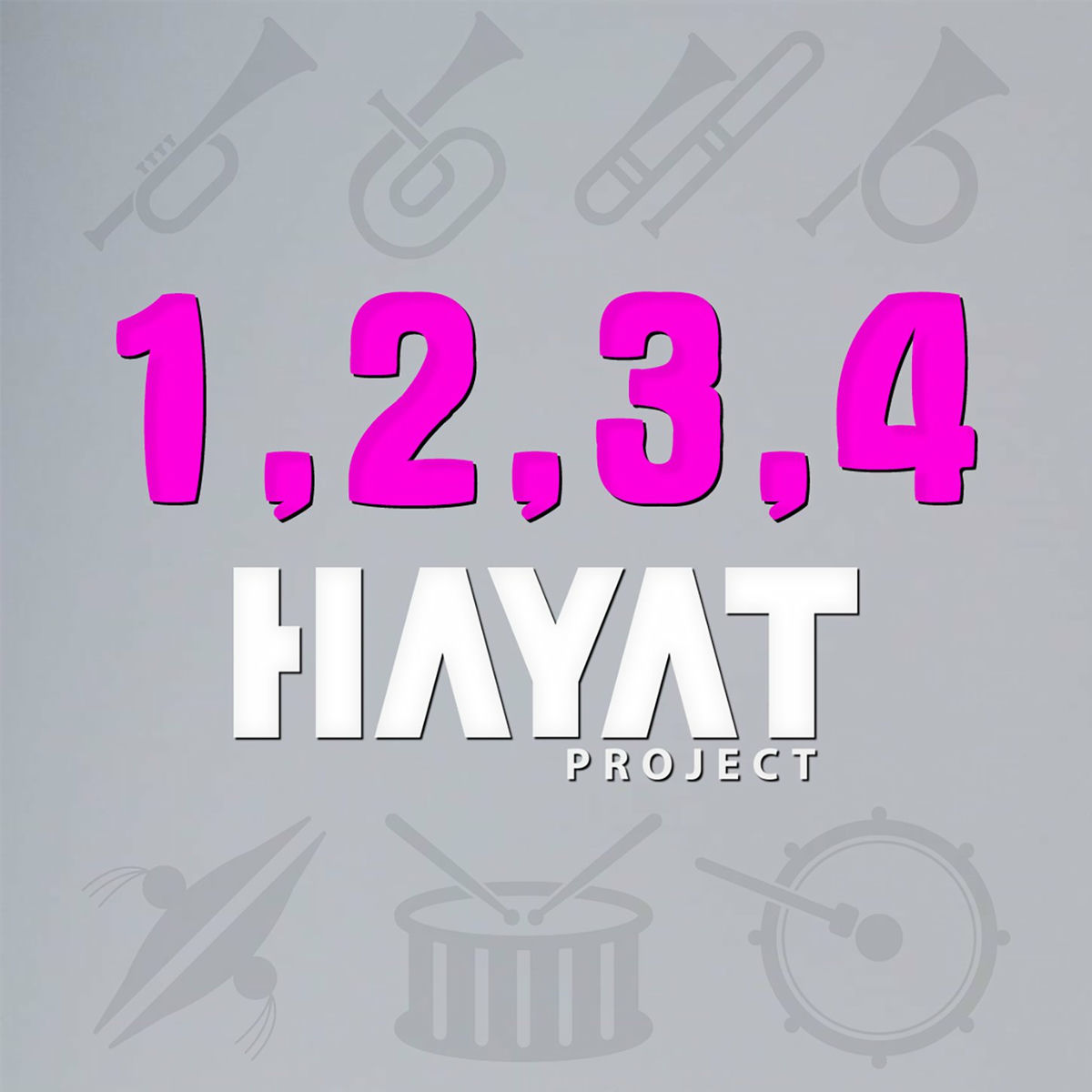 Hayat Project
