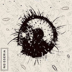 Brainless Sound System