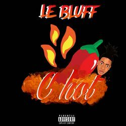 Picture of Le bluff